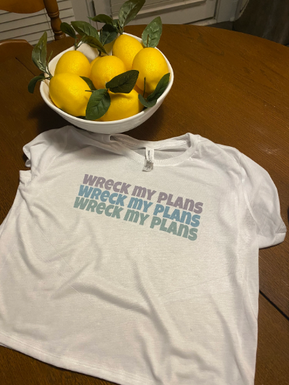 Wreck My Plans Crop top